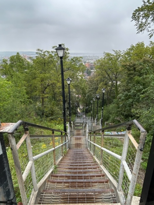 The Wentworth Steps - set one of the five I am pledging to climb.